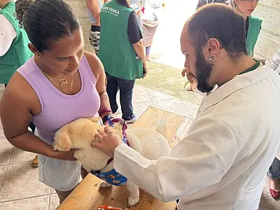 Cães e gatos são microchipados e recebem cuidados  antes de deixarem o Mantiqueira rumo à casa nova