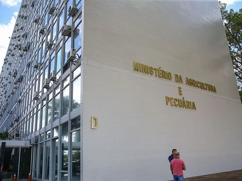 Minas Gerais registra primeiro caso de gripe aviária em pato