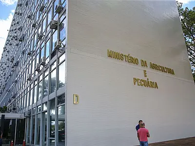 Minas Gerais registra primeiro caso de gripe aviária em pato