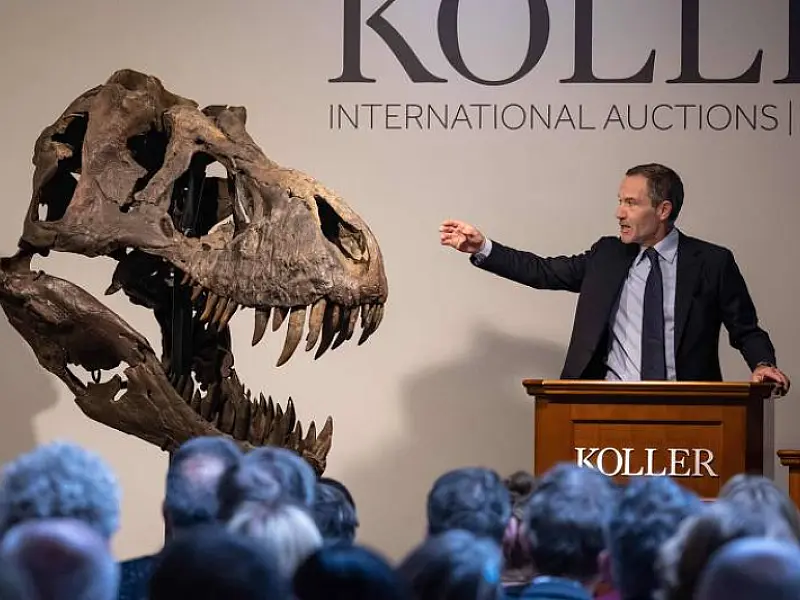 Leilão inédito de esqueleto de T. rex na Europa arrecada abaixo do esperado
