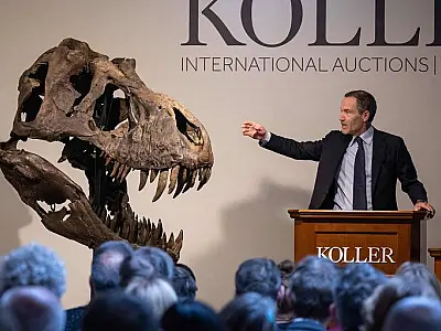Leilão inédito de esqueleto de T. rex na Europa arrecada abaixo do esperado