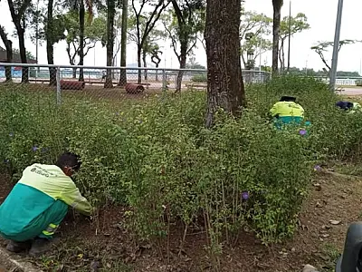 Prefeitura de Cubatão mantém diversos serviços de zeladoria pela cidade