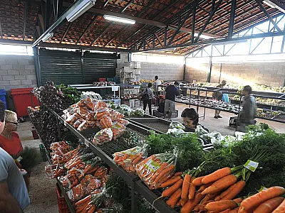 Preços da cenoura e do mamão caem nos principais mercados atacadistas