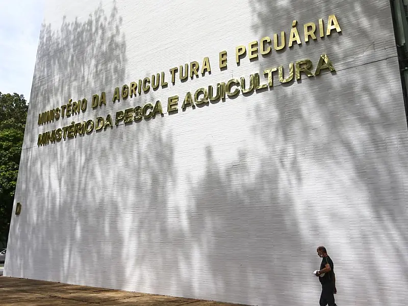Oito lotes de café são apreendidos com presença de impurezas