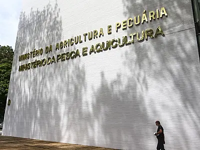 Oito lotes de café são apreendidos com presença de impurezas