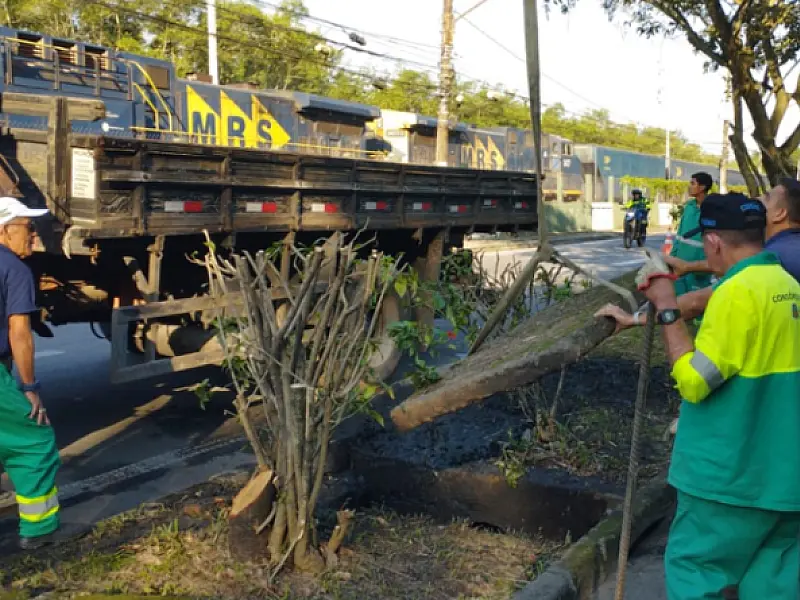 Operação 'Tapa Buraco' é intensificada em Cubatão