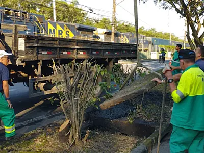 Operação 'Tapa Buraco' é intensificada em Cubatão