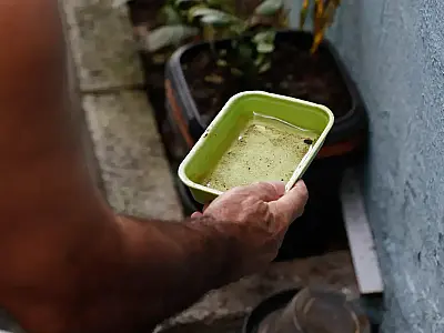 Vacina da dengue agrega outras estratégias de combate, diz ministério
