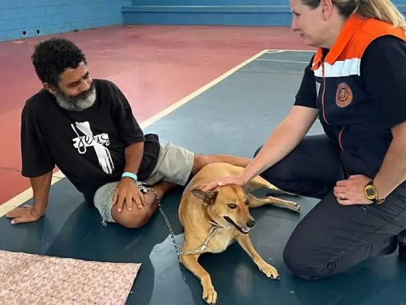 Equipes de resgate em Peruíbe acolhem animais atingidos pela chuva
