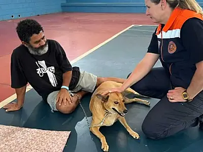 Equipes de resgate em Peruíbe acolhem animais atingidos pela chuva