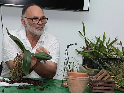Orquidário de Santos terá curso sobre cultivo de orquídeas neste sábado