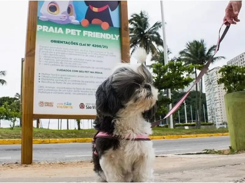 São Vicente passa integrar Guia Pet Friendly do Estado de São Paulo