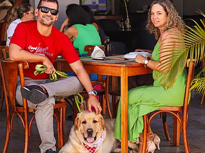 Pet friendly: como estabelecimentos se adaptam para receber você e seu melhor amigo