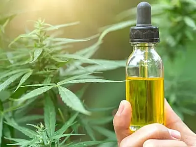 Remédios à base de cannabis serão distribuídos pelo SUS no Espirito Santo