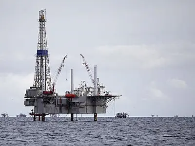 Blocos ofertados pela ANP ameaçam unidades de conservação, diz estudo
