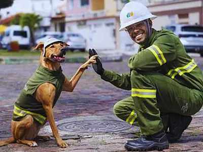 Vira-lata caramelo faz dupla com eletricista para reforçar segurança com a rede elétrica