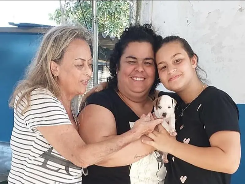 Guarujá reduz em quase 20% o número de animais abandonados no Município