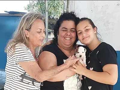 Guarujá reduz em quase 20% o número de animais abandonados no Município