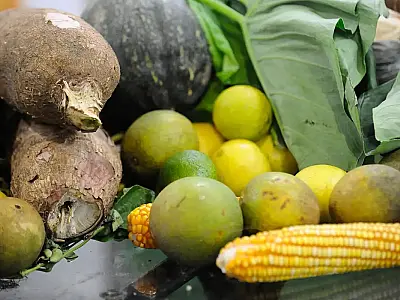 Agrotóxicos: 25% dos alimentos de origem vegetal no país têm resíduos