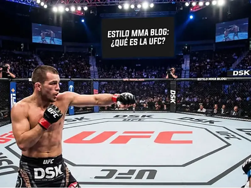 Como o volume de golpes influencia previsões de luta UFC e apostas