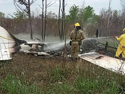 FAB intercepta avião que entrou irregularmente em território nacional