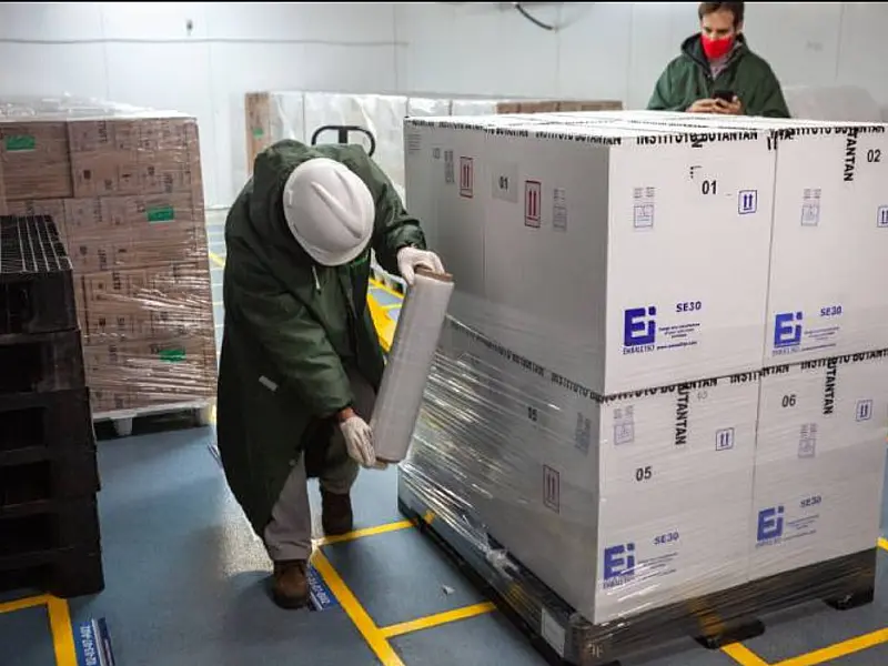 Butantan inicia as exportações de 2023 da vacina contra Influenza