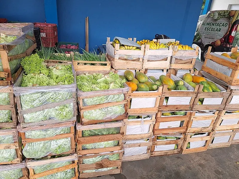 Governo de SP amplia distribuição de alimentos e avança em entregas aos municípios paulistas
