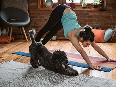 Saiba como exercitar os cãezinhos sem sair de casa