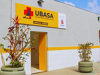 Reforma da Ubasa Insular garante mais qualidade no atendimento aos animais em São Vicente