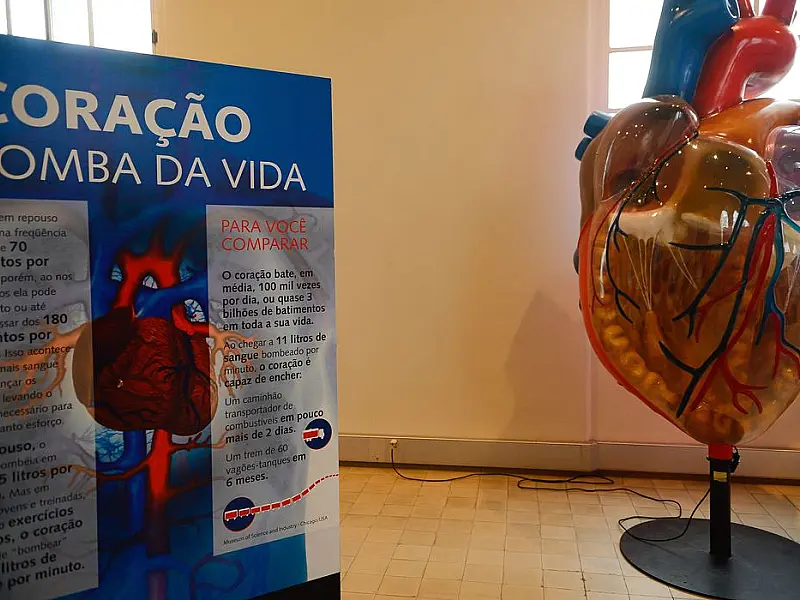 Internações por infarto aumentam mais de 150% no Brasil