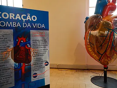 Internações por infarto aumentam mais de 150% no Brasil