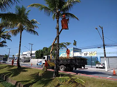 Cata Poda: Fique atento à programação para a próxima semana em Bertioga