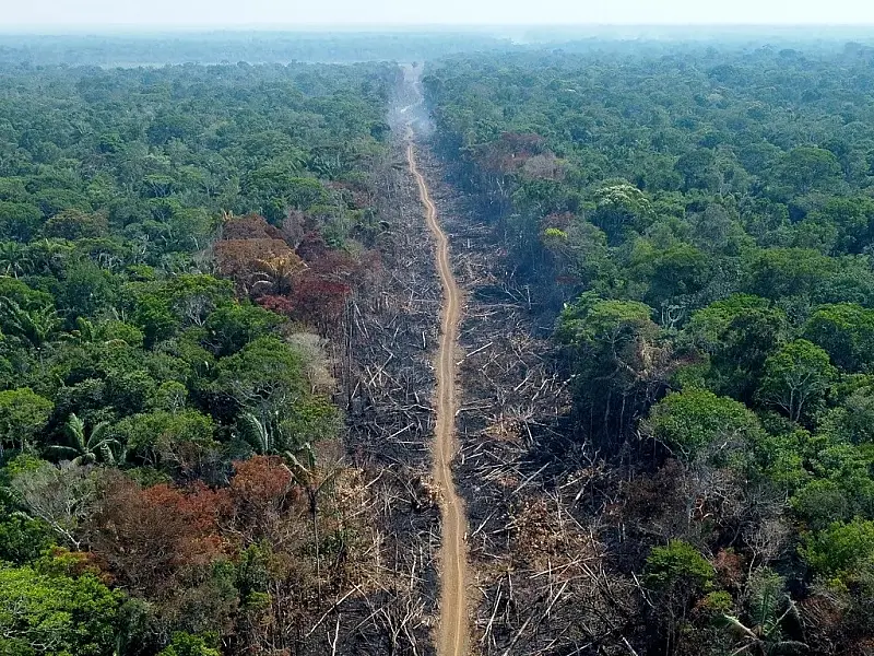 Novo plano contra desmatamento na Amazônia prevê combate ao crime organizado e bioeconomia