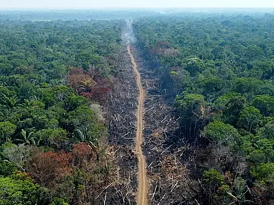 Novo plano contra desmatamento na Amazônia prevê combate ao crime organizado e bioeconomia