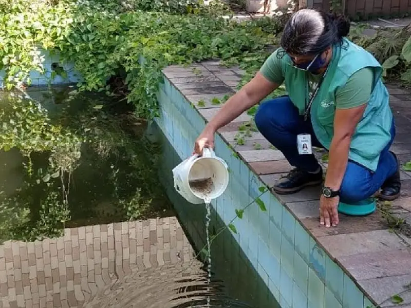 Casos de doenças transmitidas pelo Aedes Aegypti devem crescer em março