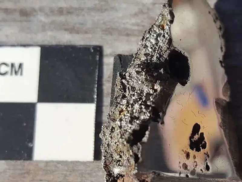Minerais, sombra e água fresca