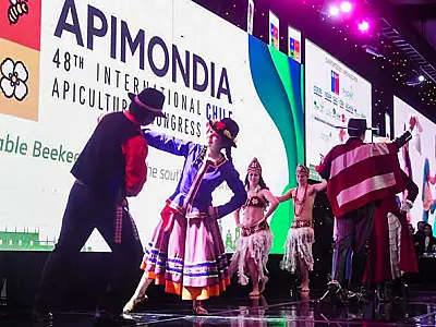 Apicultores do Vale do Ribeira podem participar da Apimondia na Dinamarca