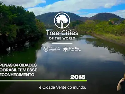 Cubatão Cidade Verde do Mundo