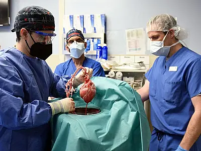Homem se recupera após transplante com coração de porco