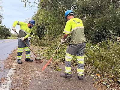 CNL libera rodovias rapidamente após ventania provocar queda de árvores