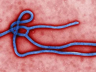 Novo surto de ebola atinge a República Democrática do Congo
