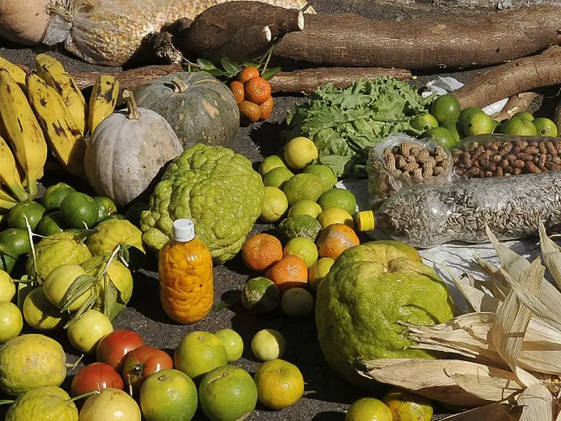 PAA: agricultores contam como melhoraram a renda e combateram a fome