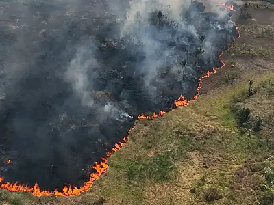 Caminhos da Reportagem destaca as queimadas deste ano