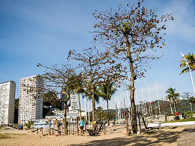Passeios turísticos gratuitos agitam programação de aniversário em São Vicente