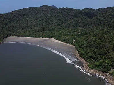 São Vicente: Guardiã da Biodiversidade, Cidade preserva quase 70% de sua vegetação nativa