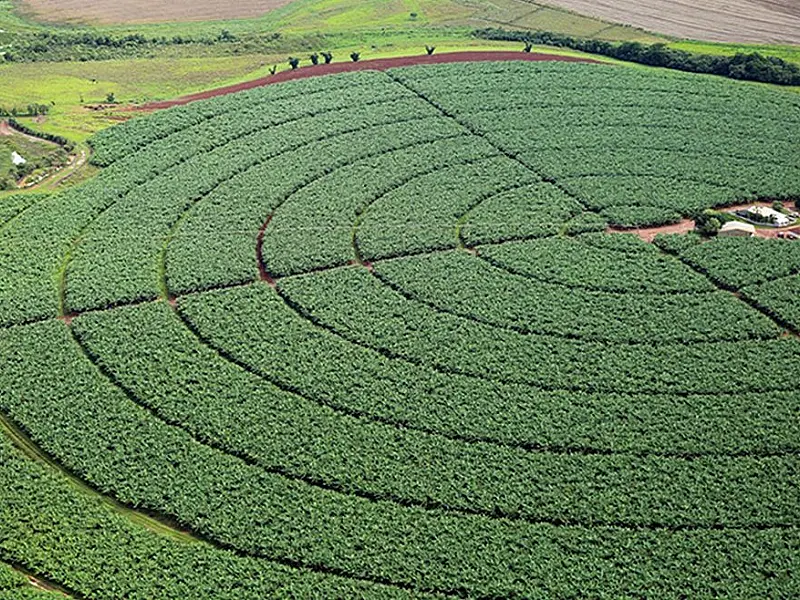 IBGE estima safra recorde de 261,5 milhões de toneladas em 2022