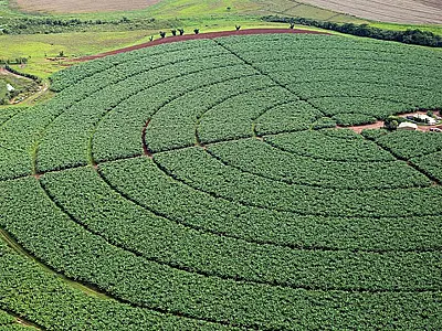 IBGE estima safra recorde de 261,5 milhões de toneladas em 2022