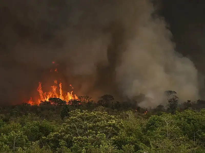 Brasil tem 22,38 milhões de hectares atingidos pelo fogo em nove meses
