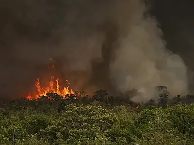 Brasil tem 22,38 milhões de hectares atingidos pelo fogo em nove meses