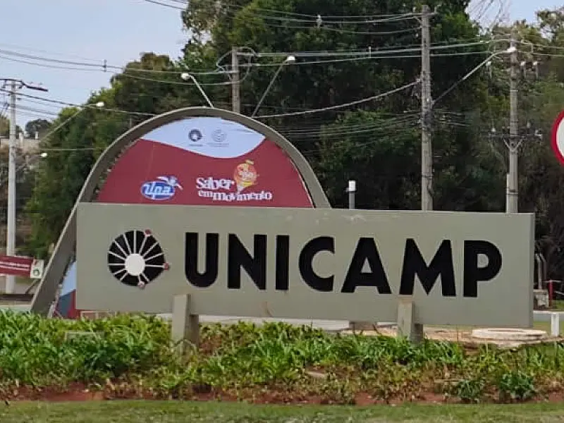 Cursos livres on-line oferecidos por USP, Unicamp e Centro Paula Souza ensinam várias capacitações